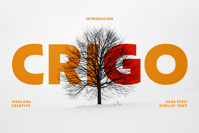 Crigo Display Font branding font fonts graphic design logo nostalgic