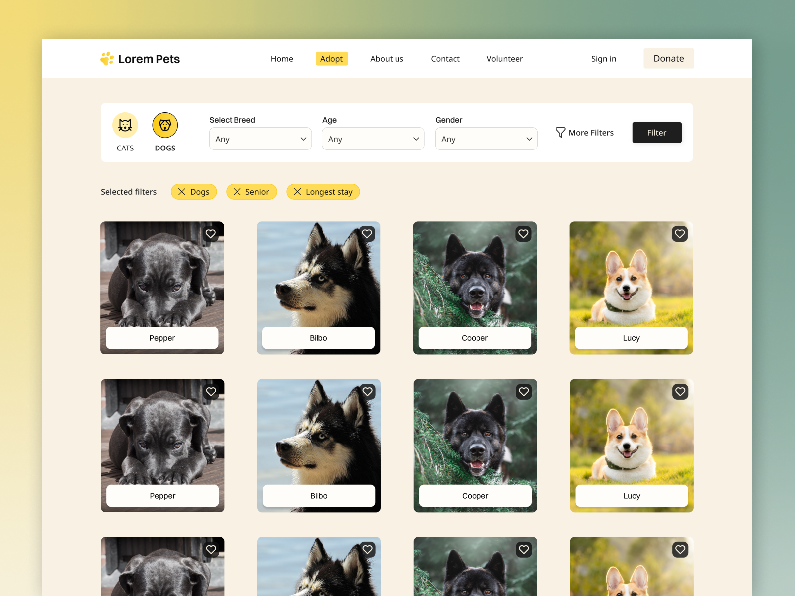 Pet adoption web design pet adoption ui web design