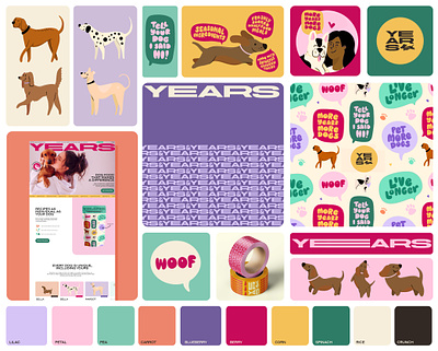 Years Visual Identity brand branding colour cute design dogs hand drawn hand lettering illustration logo presentation type typography ui vector web design