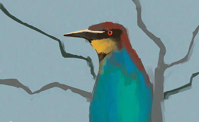 My Daily Challenge #24 bird concept design illustration procreate wild