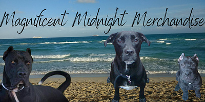 Magnificent Midnight Merchandise apparel branding clothing store dog dog breeding dog training dogs graphic design logo music production music promotion pitbulls presa canario voice acting