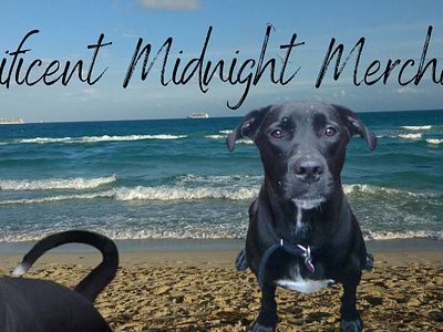 Magnificent Midnight Merchandise apparel branding clothing store dog dog breeding dog training dogs graphic design logo music production music promotion pitbulls presa canario voice acting