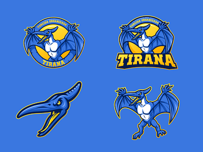 Blue Jays designs, themes, templates and downloadable graphic elements on  Dribbble