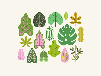 Plants and Tree leaves art design digital art green greenlife illustration leaves nature plants spring tree vector