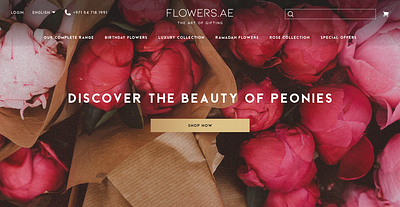 Landing Page Banners for Flowers.AE design ui web