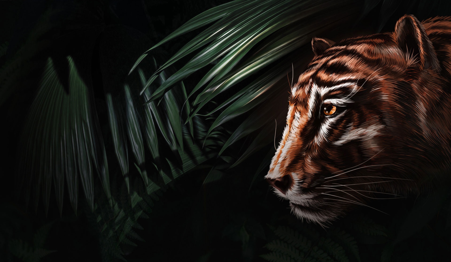 A Tiger in the Jungle illustration 插画 设计