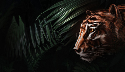 A Tiger in the Jungle illustration 插画 设计