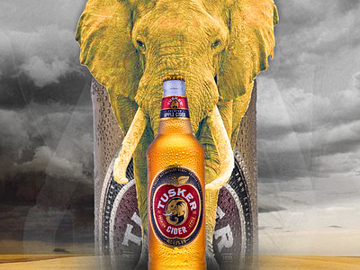 Tusker Cider design graphic design