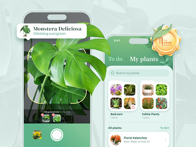 AI Plant Identification in Blossom App app aso branding design flowers graphic design illustration plant planting typography ui vector