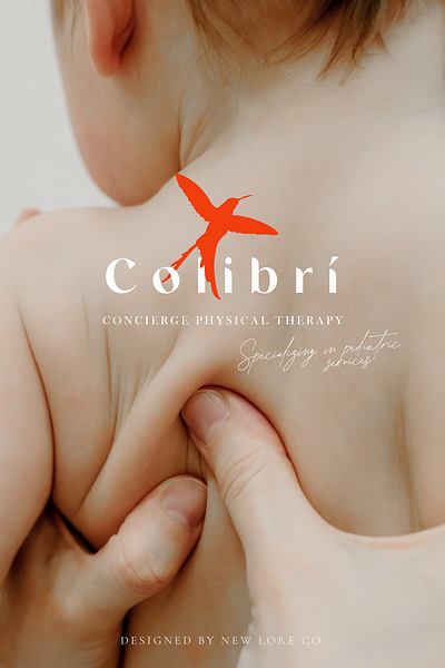 Branding for Colibri Physical Therapy branding graphic design illustration