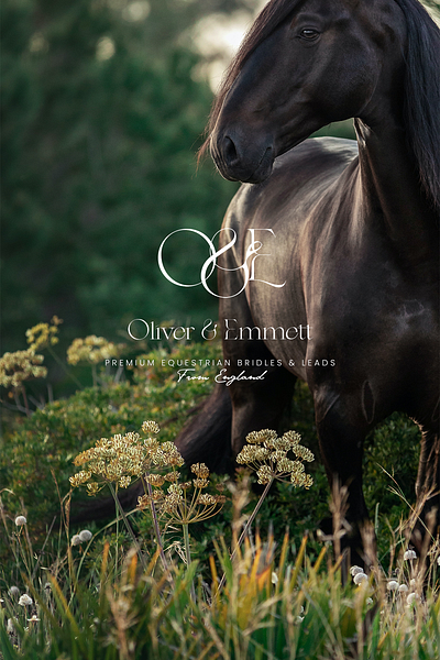 Branding for Oliver & Emmett branding design graphic design