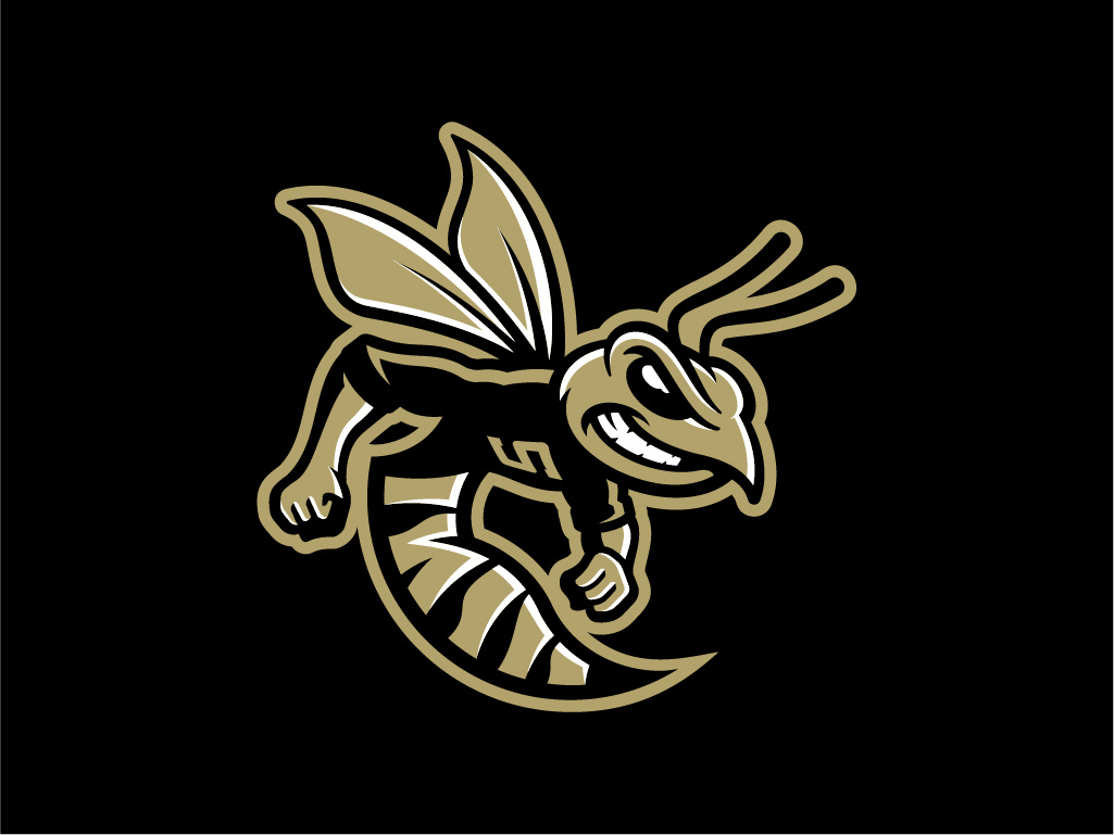 Sprayberry High School Yellowjackets By Torch Creative On Dribbble 