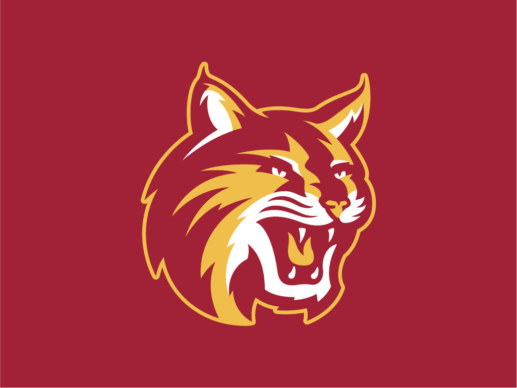 Saddleback College Bobcats Athletic Identity by Torch Creative on Dribbble