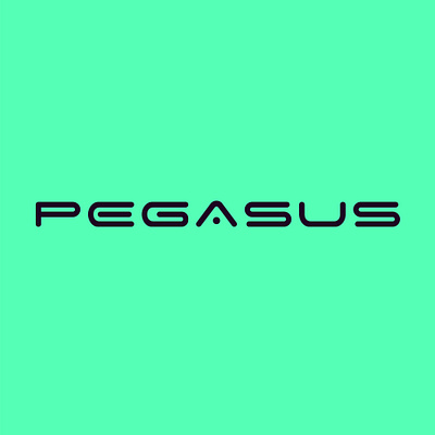 Pegasus Wordmark Design app branding design graphic design illustration logo typography ui ux vector