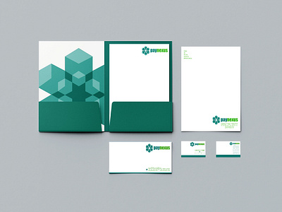 Paynexus Stationary branding corporate image graphic design logo stationery