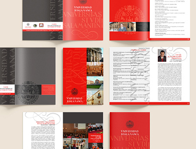 Universidad de Salamanca branding corporate image graphic design logo