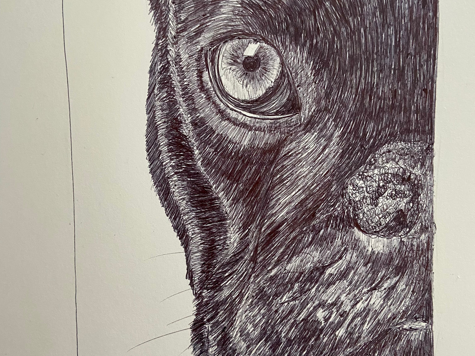 Ballpen Dog 🐩 by Ballpointpen Illustrator on Dribbble