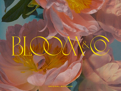 Florist Logo Design branding graphic design logo typography