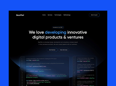 Software Development Agency - Web Design branding design graphic design illustration logo website