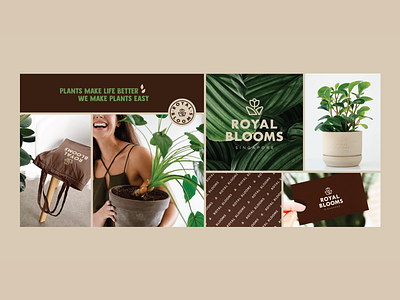 ROYAL BLOOMS - BRANDING brand strategy branding branding agency branding design byindustria core values design flower flower store graphic design logo logo design online plant company plant plant shop plant shop identity plant store singapore solid brand visual identity