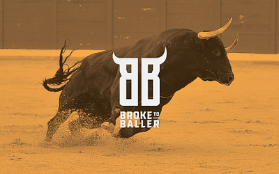 Broke to Baller branding graphic design logo product design stationary vector website design