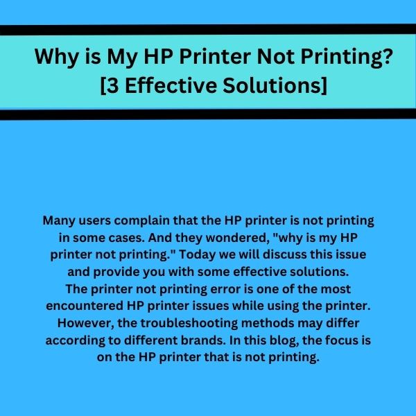 why-is-my-hp-printer-not-printing-3-effective-solutions-by-devin-brandon-on-dribbble