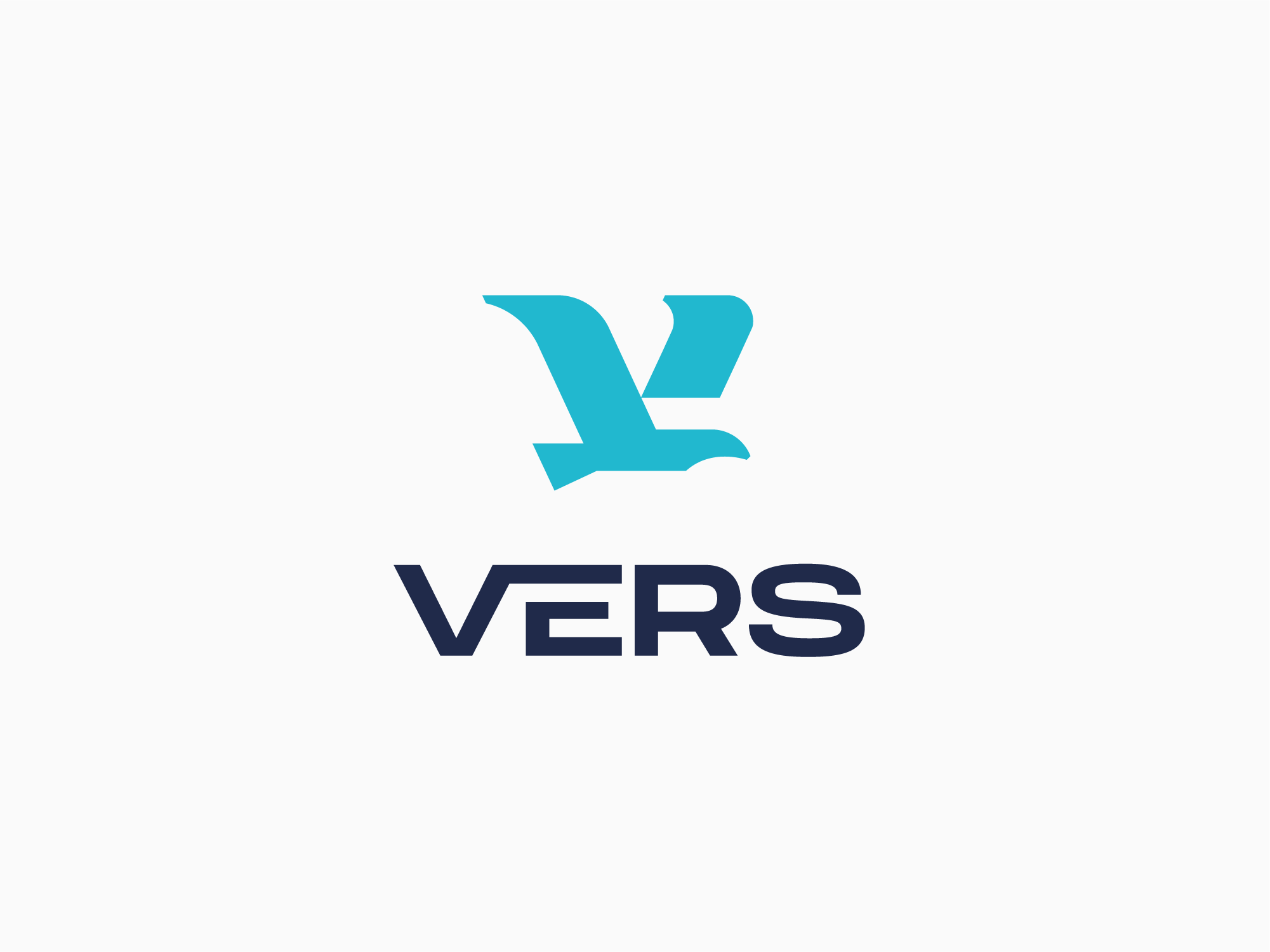 Vers | Logo Design bird branding concept design double meaning flight fly geometric logo geometry graphic design letter v lettermark logo logo design minimalist shape
