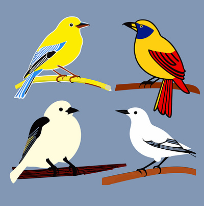 Beautiful Birds Vector Sitting On A Branch On A Sunny Day, Wond