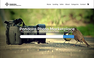 Photo Marketplace Web Interface 3d branding graphic design motion graphics ui web design web interface