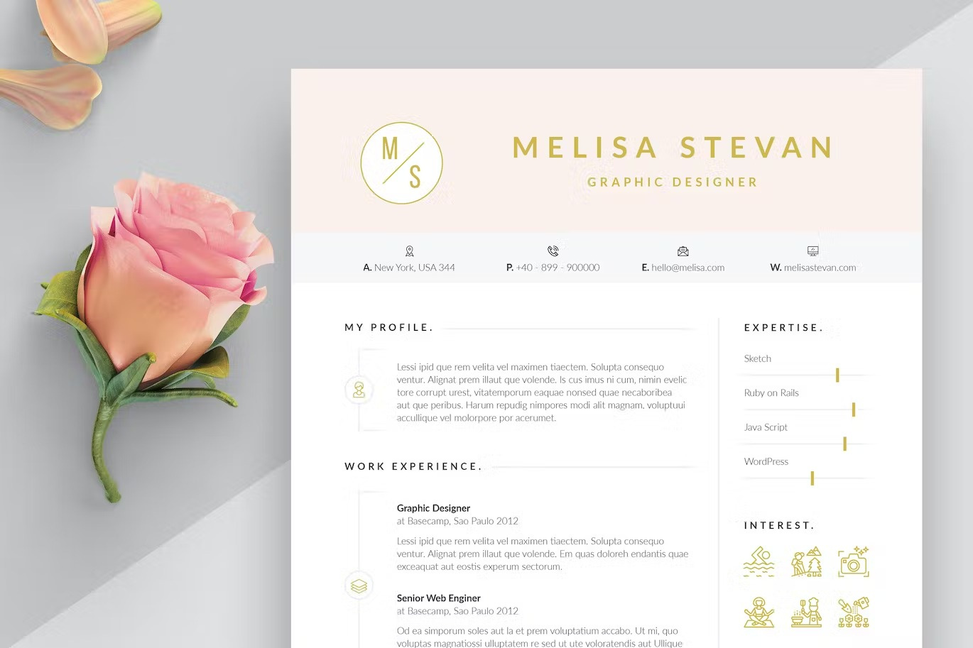 Professional Resume Template clean clean resume cover letter creative resume curriculum vitae cv cv template free cv free cv template free resume free resume template minimal resume modern cv modern resume professional resume resume resume clean resume cv resume design resume template