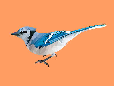 Geometric BlueJay art bird blue color design geometric illustration illustrator