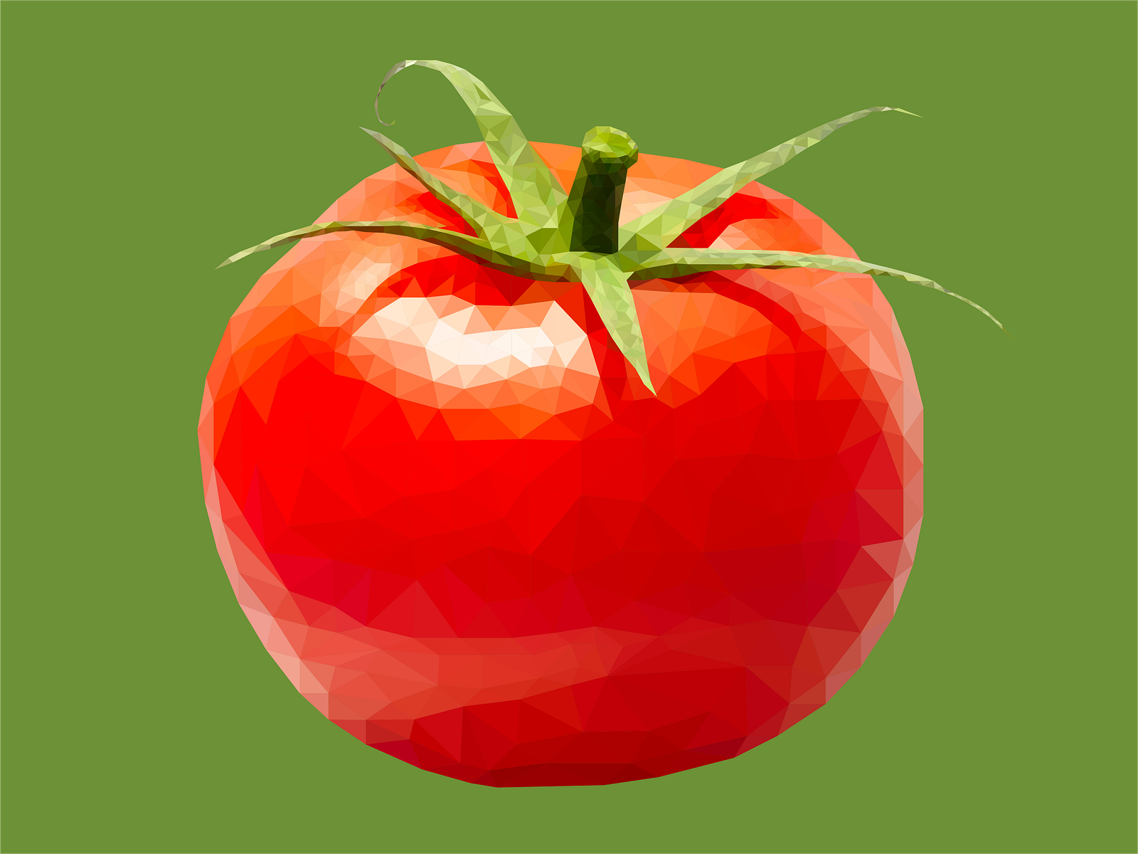 Geometric Tomato by Lyndsay on Dribbble