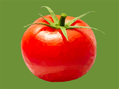 Geometric Tomato art color design fruit geometric illustration illustrator red vector