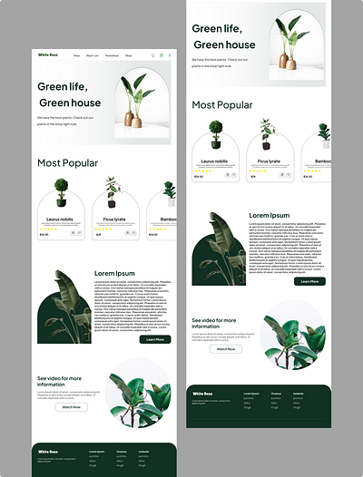 Landing Page - Plant Shop design designer flower web flower website design landing page plant plant shop plant web design plant website ui uiux user interface