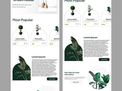 Landing Page - Plant Shop design designer flower web flower website design landing page plant plant shop plant web design plant website ui uiux user interface