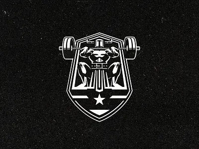 STRONGHOLD badge character crossfit gym helmet knight logo sport
