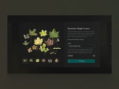3D Nature Assets 3d branding cool design graphic design illustration ui