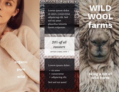 Wild Wool Farms • Brochure branding brochure graphic design knitting print print design sheep sweater wool