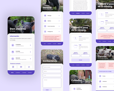 Don Jacinto - Minipigs figma mobile ui ux