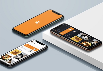 Pet Store App Design design e commerce figma mobile pet phone ui