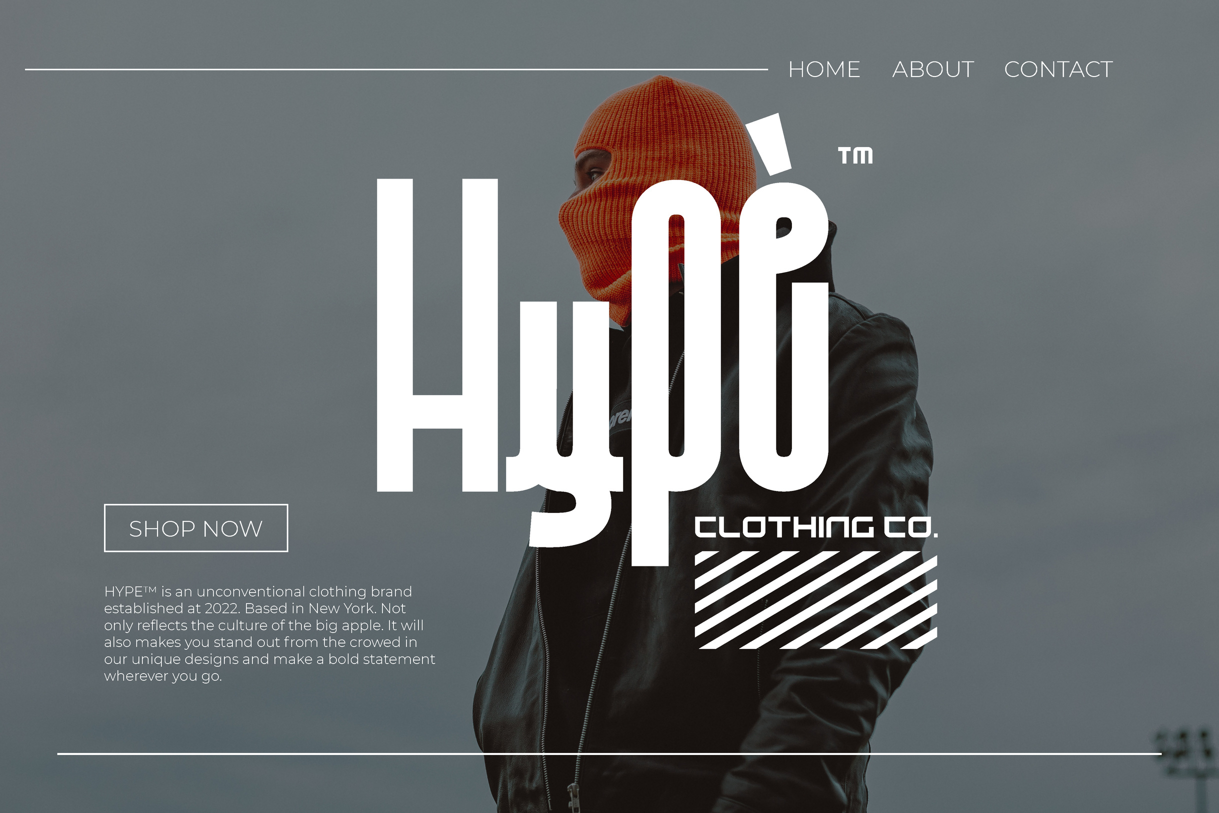 Example of Custom Logo