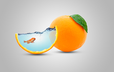 Orange with fish design graphic design photoshop ui