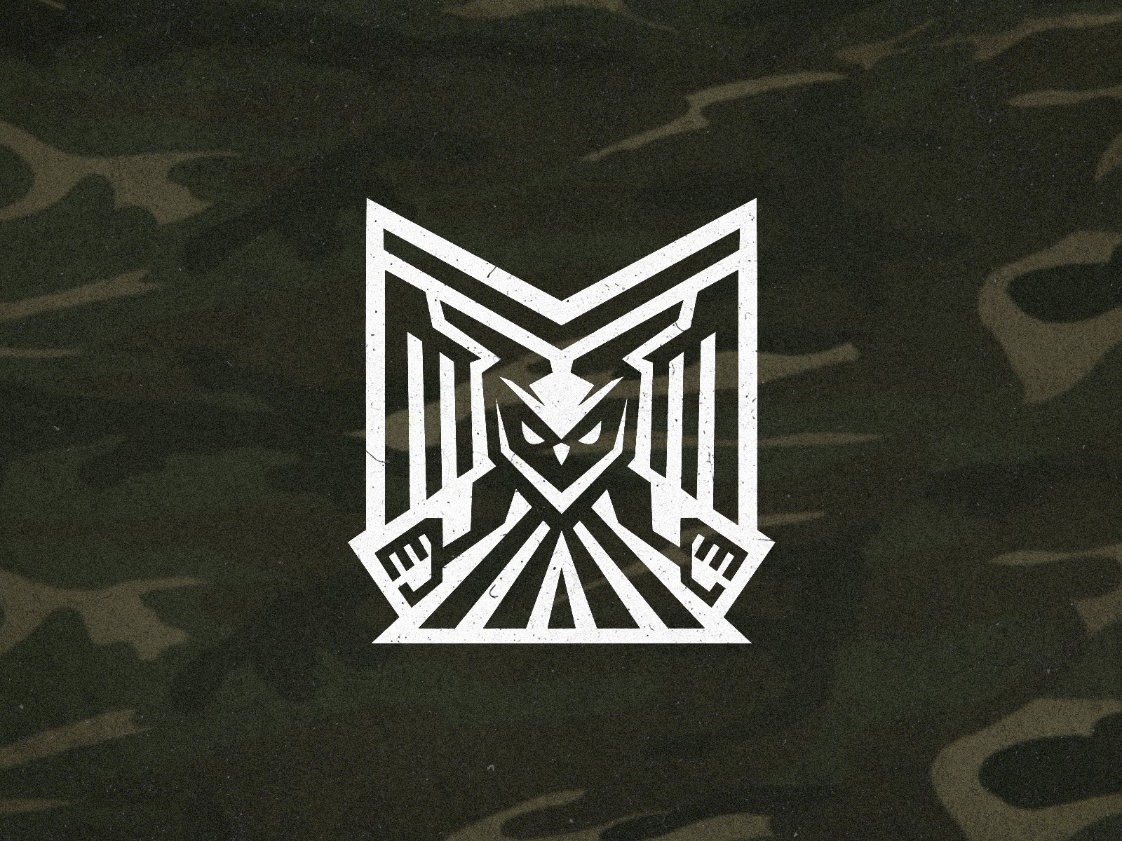 OWL badge bird gym owl patch protection security wood