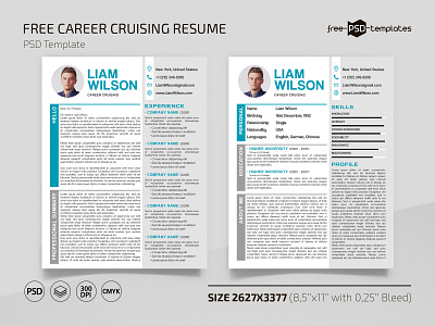 Free Career Cruising Resume Template in PSD career careerresume free freebie photoshop psd resume template templates