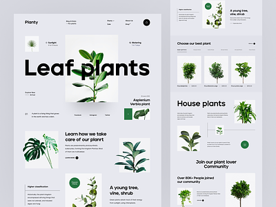 Plant Shop Website. clean design ecommerce flower garden gardening green interior landing page plant plant care plant shop plants tree trend ui design web web design webdesign website