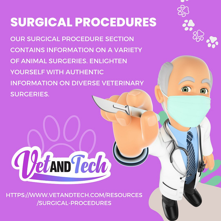 Learn Various Animal Surgical Procedures at Vet and Tech by Vet ...