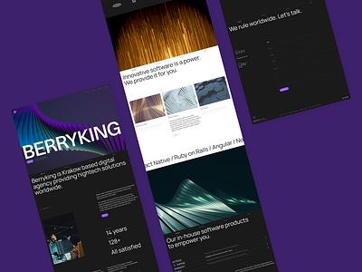 BERRYKING | Website branding dailyui design graphic design minimal typography ui web design