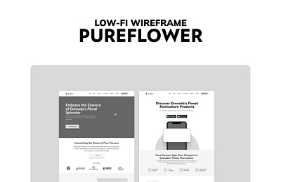 Pureflower - A Lowfi Wireframe design ui ui design wireframe