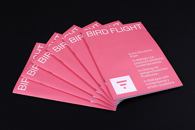 Birdflight, Erika Giovanna Klien – Museion Bolzano