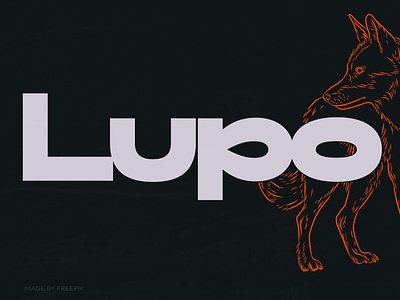 ND Lupo font letters loop typedesign typeface typography